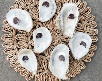 Oyster Shells X-Large CUPS & FLATS  4&quot;- PLUS| Crafts| Ornaments| Bridesmaid| Beach Craft| Trinket Dish| Mod Podge| Decoupage