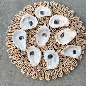 Premium Large Oyster Shells for Fun Crafts and Decor. No Holes/Cracks,  Non-Sharp, Odor Free, Round Shells . (No Sanding/Polishing/Painting) (3-  5 Length) (Assorted - 30PCS) 