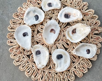 Oyster Shells Large 3"-4" Bulk| Crafts| Ornaments| Bridesmaid| Beach Craft| Trinket Dish| Mod Podge| Decoupage