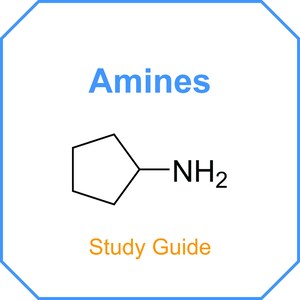Amines - Study Guide for | nursing | nursing school | pre-med | mcat | complete course bundle | life science | health science