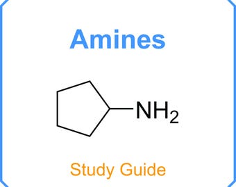 Ammine - Guida allo studio per / infermieristica / scuola infermieristica / pre-med / mcat / pacchetto completo del corso / scienze della vita / scienze della salute