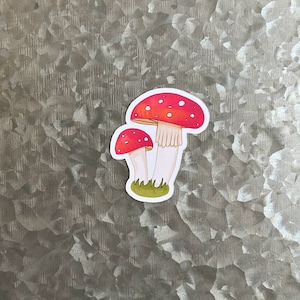 Mushroom Magnet - Cute Glossy Magnet for Refrigerator, Kitchen, Home, Office, and Organization