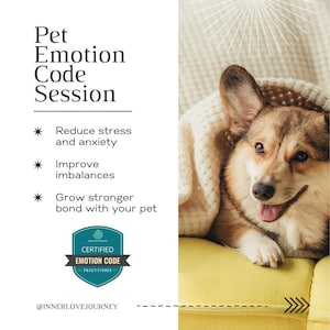 20 Minute Pet Emotion Code Email Session