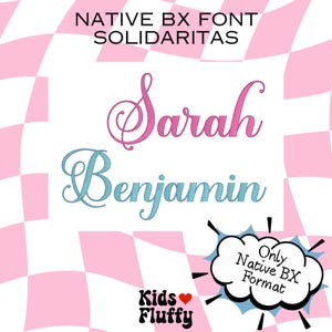 Native BX Font Solidaritas - bx Font - Embrilliance Native BX Font - For Embrilliance Program - Satin stitch font