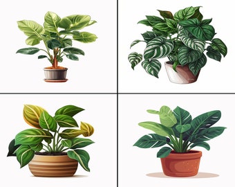 House plant clip art png x 20 | Botanical digital | Potted plant art bundle| Crafts Scrapbooking Collage Making