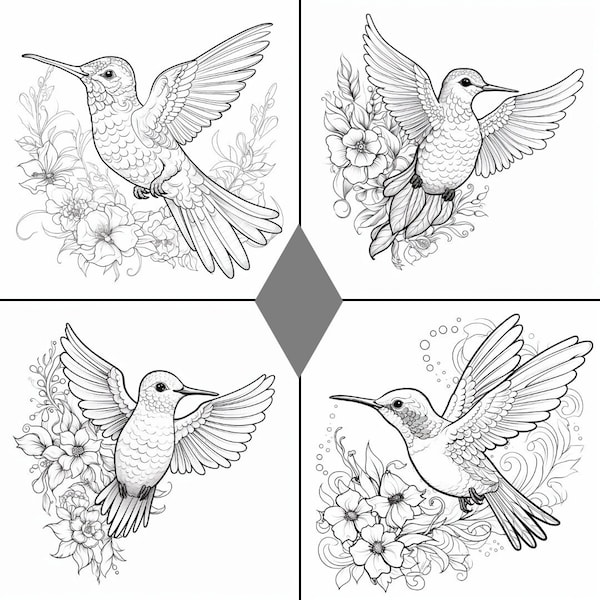 20 Hummingbird Coloring Book Pages - black and white hummingbird photos, for coloring, PNG format 300+ DPI, instant download, great for kids