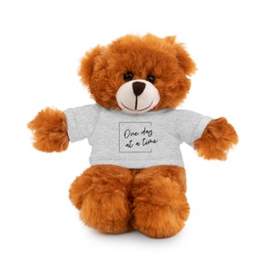 May include: A brown teddy bear wearing a gray t-shirt with the text "One day at a time" printed on it.