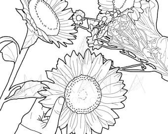 May include: A black and white line drawing of a hand holding a sunflower. Two other sunflowers are in the background.