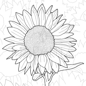 Printable Sunflower Coloring Page