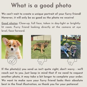 May include: Three images showing examples of good photos for a pet portrait. The first image shows a corgi puppy looking directly at the camera. The second image shows a German Shepherd looking away from the camera. The third image shows two golden retriever puppies looking at the camera. The text below the images says "Good photos: Close-up, full face, taken in day-light or brightly-lit room. Furry friend looking directly at the camera at eye level, face forward."