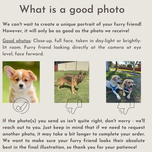 May include: A light beige graphic with the text "What is a good photo". It includes examples of good and bad photos for a pet portrait, with a Corgi puppy, a German Shepherd, and two Labradors.