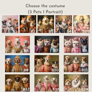 May include: A selection of portraits featuring pets dressed in regal costumes. The images are labeled B1 through B14, and the text at the top reads "Choose the costume (3 Pets 1 Portrait)". The portraits showcase dogs and cats in various royal attire.