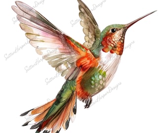 Watercolor Hummingbird Illustration PNG design, Hummingbird png, beautiful bird png, hummingbird design png, bird png, trending pngs