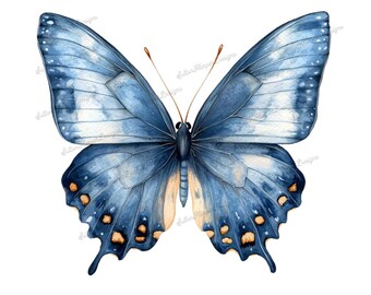 Watercolor Vintage Blue Butterfly Illustration Design PNG, Blue Butterfly png, butterfly png, vintage butterfly png, butterfly pngs