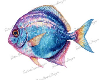 Iridescent Fish png, Ocean fish png, fish png, beach png, ocean life png, marine life png, beautiful fish png,  Ocean png
