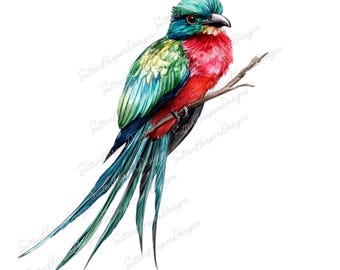 Pájaro quetzal resplandeciente PNG, diseño de ilustración de pájaro quetzal resplandeciente en acuarela PNG clipart, amante de las aves PNG, observador de aves PNG