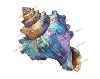 Iridescent Sea Shell png, Seashell png, beautiful seashell png, beach png, ocean png, shell png