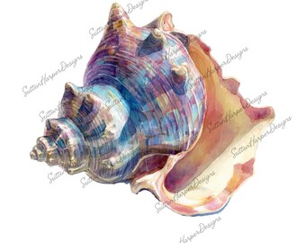 Iridescent Seashell png, Seashell png, Ocean png, Watercolor shell png, Conch Shell png, Seashell illustration