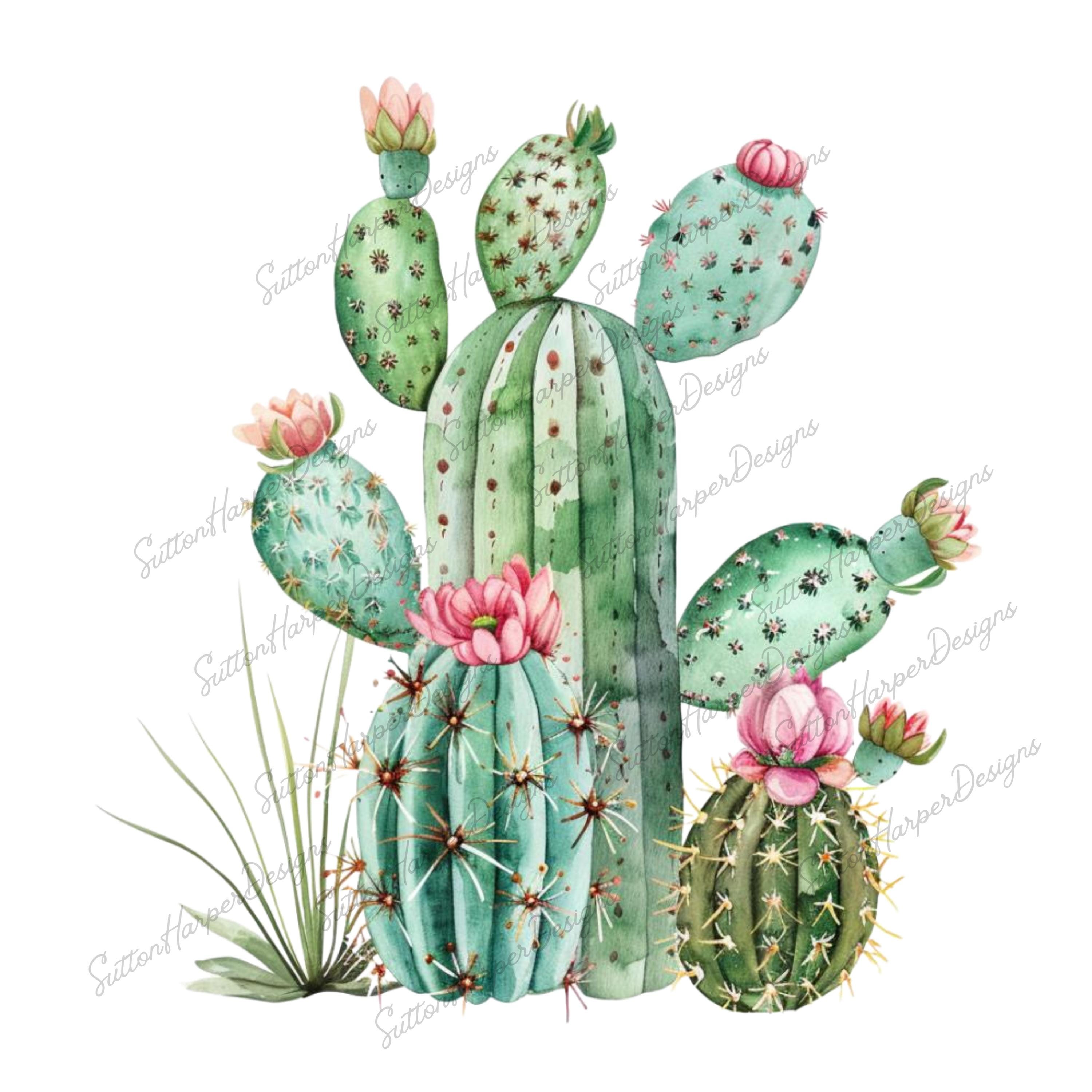 鉢植えのサボテンの水彩イラスト png、サボテンのクリップアート