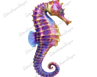 Iridescent Seahorse PNG, Seahorse PNG, Seahorse clipart, Watercolor Seahorse Illustration png, Ocean png, beach pngs, Sea png