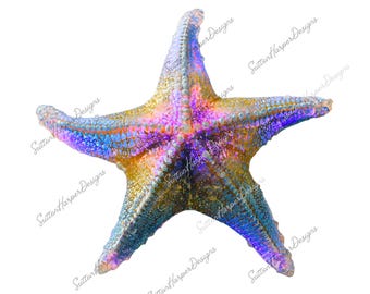 Iridescent Starfish PNG, Kawaii Starfish png, Ocean PNG, Ocean Star png, beach clipart png, viral png