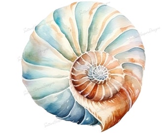 Aquarel zeeschelp illustratie png, grillige aquarel zeeschelp png, schelp png, zeeschelp png, oceaan png, strand png, schelp png