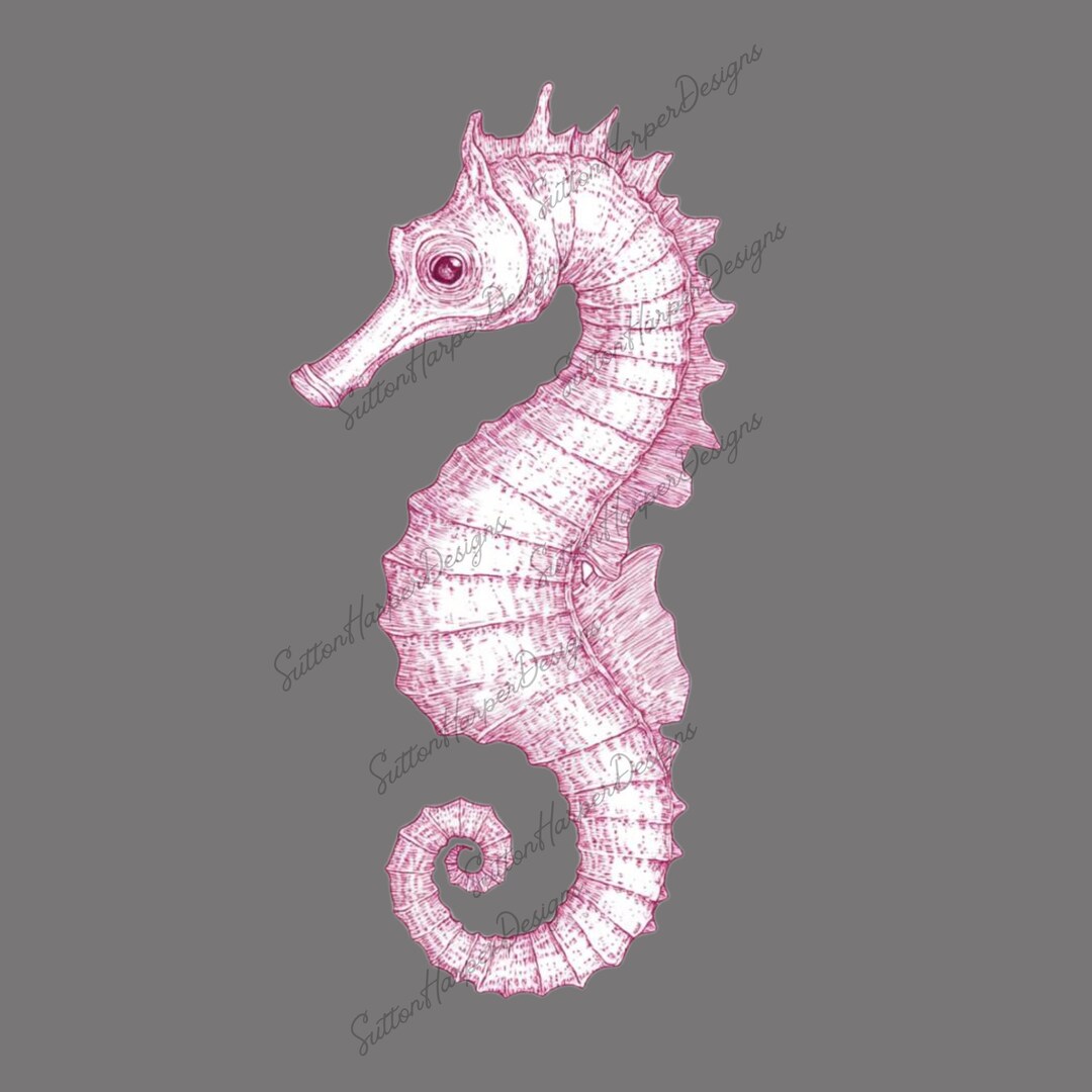 ピンクのヴィンテージ タツノオトシゴ デザイン PNG、タツノオトシゴ