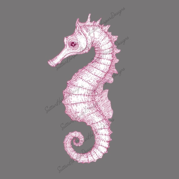 ピンクのヴィンテージ タツノオトシゴ デザイン PNG、タツノオトシゴ