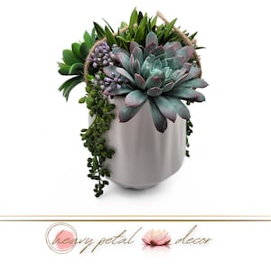 Pode incluir: Um vaso de cerâmica branco com um arranjo de suculentas penduradas. O arranjo apresenta uma variedade de suculentas verdes, incluindo uma suculenta de roseta grande com pontas rosadas.