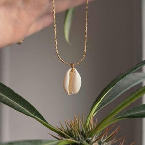 Op de afbeelding: Een gouden ketting met een witte schelp hanger.