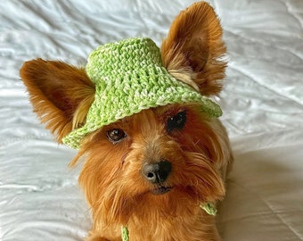 Hand Crochet Green & Cream Pet Bucket Hat, Fun Spring Hat for Dog, Cute Cat Accessories, Custom Small Dog Outfit, Puppy Clothing, Pet Gift