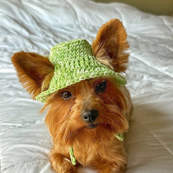 Hand Crochet Green & Cream Pet Bucket Hat, Fun Spring Hat for Dog, Cute Cat Accessories, Custom Small Dog Outfit, Puppy Clothing, Pet Gift