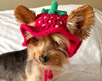 Bonnet seau fraise pour animal de compagnie au crochet, chapeau de chat drôle mignon, tenue personnalisée pour chien, déguisement girly de petit chien, vêtements de chaton, vêtements de chiot