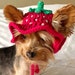 see more listings in the Pet Hats section
