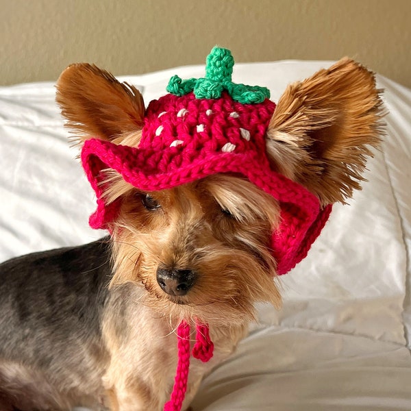 Crochet Erdbeer-Eimer Haustier-Hut, niedlicher lustiger Katzenhut, Benutzerdefinierte Hunde Outfit, Girly kleiner Hundekostüm, Kätzchen-Kleidung, Welpen-Abnutzung