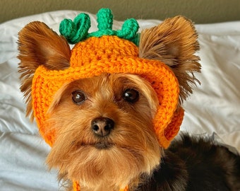 Crochet Pumpkin Bucket Pet Hat, Cute Funny Cat Hat, Fall Dog Clothes, Gift for Dog Mom, Pet Gifts, Large Dog Outfit, Small Cat Accessories