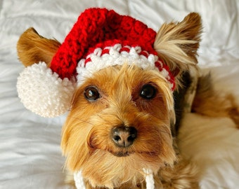 Crochet Red & White Santa Pet Hat, Christmas Hat for Dog, Holiday Cat Clothes, Gifts for Dog Mom, Small Winter Dog Accessories, Cat Mom Gift