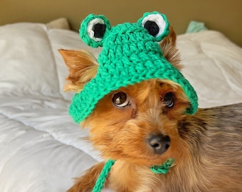 Frog Pet Bucket Hat Green Frog Dog Hat Summer Bucket Hat For Cat Hat Frog Cat Bucket Hat Summer Dog Hat Photo Prop Frog Dog Hat Gift For