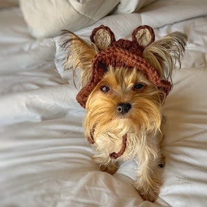 Silly Dog Hats Etsy
