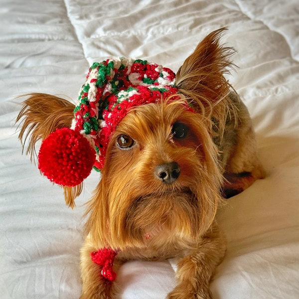 Crochet Multicolor Christmas Pet Hat, Festive Holiday Dog Hat, Santa Beanie, Small Cat Clothes, Gifts for Cat Mom, Large Dog Accessories