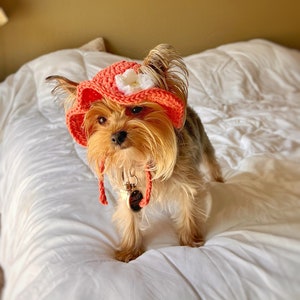 Flower Pet Hat Crochet Flower Pet Bucket Hat Summer Flower Dog Hat For Summer Flower Bucket Cat Hat Summer Dog Hat For Photo Prop Cat Hat image 1