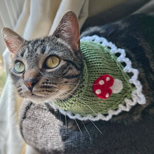 Hand Knitted Mushroom Pet Bandana, Custom Crochet Dog Bandana, Cute Cat Collar, Summer Necklace for Pet, Embroidered Bandana For Small Dog image 2