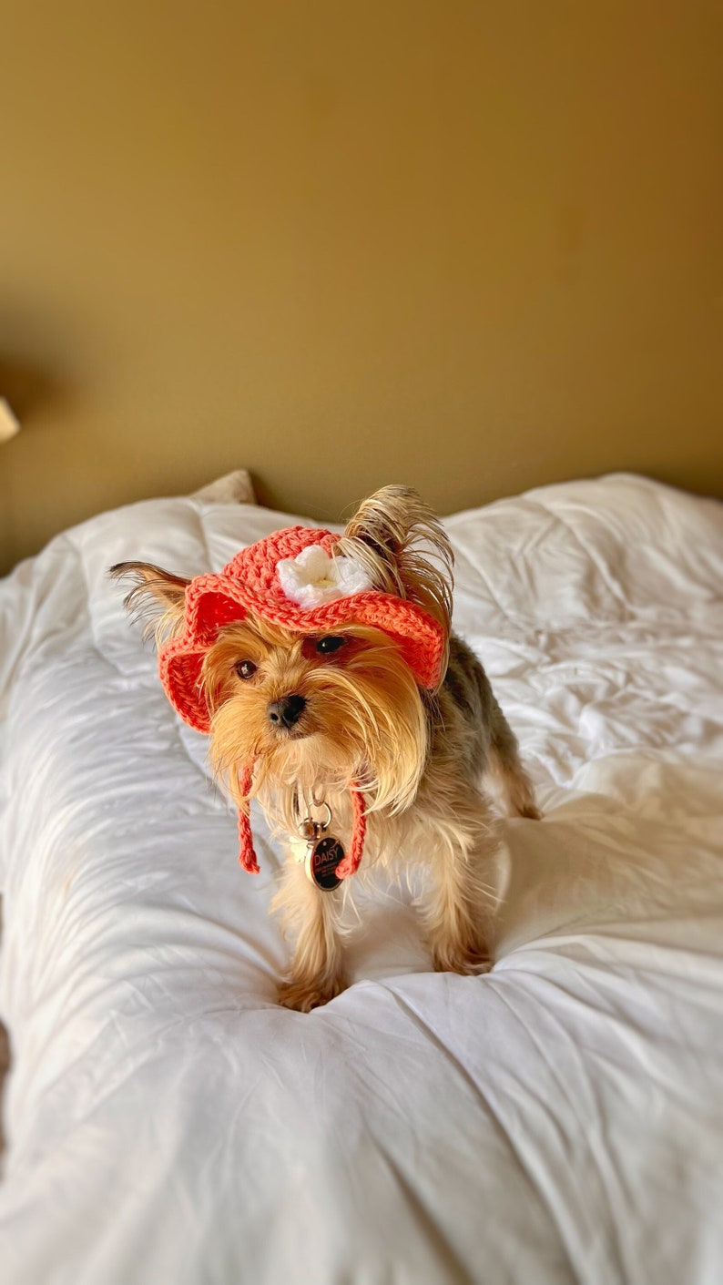 Flower Pet Hat Crochet Flower Pet Bucket Hat Summer Flower Dog Hat For Summer Flower Bucket Cat Hat Summer Dog Hat For Photo Prop Cat Hat image 1