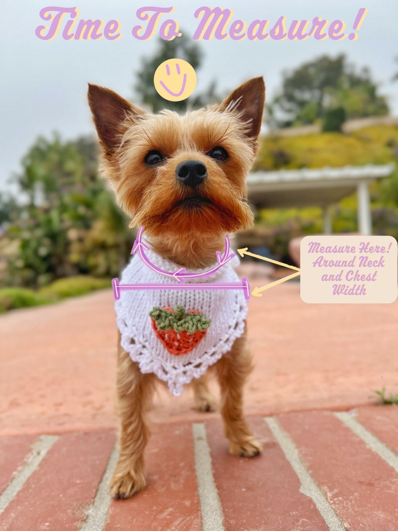 Hand Knitted Mushroom Pet Bandana, Custom Crochet Dog Bandana, Cute Cat Collar, Summer Necklace for Pet, Embroidered Bandana For Small Dog image 10