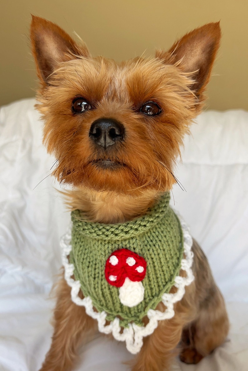 Hand Knitted Mushroom Pet Bandana, Custom Crochet Dog Bandana, Cute Cat Collar, Summer Necklace for Pet, Embroidered Bandana For Small Dog image 5