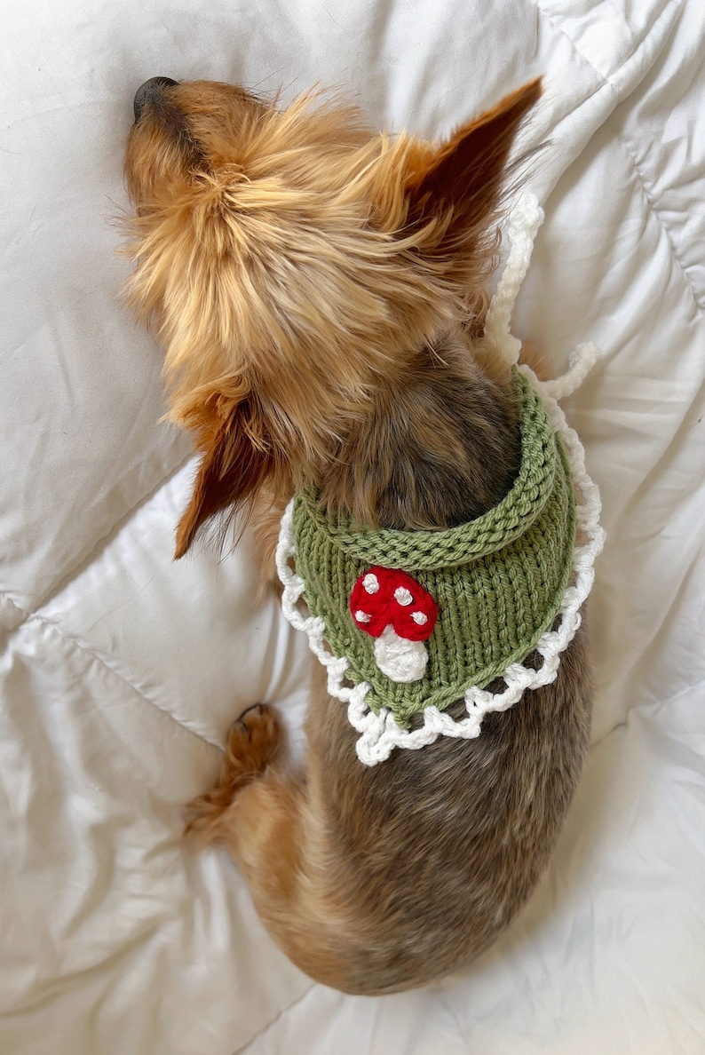 Hand Knitted Mushroom Pet Bandana, Custom Crochet Dog Bandana, Cute Cat Collar, Summer Necklace for Pet, Embroidered Bandana For Small Dog image 6