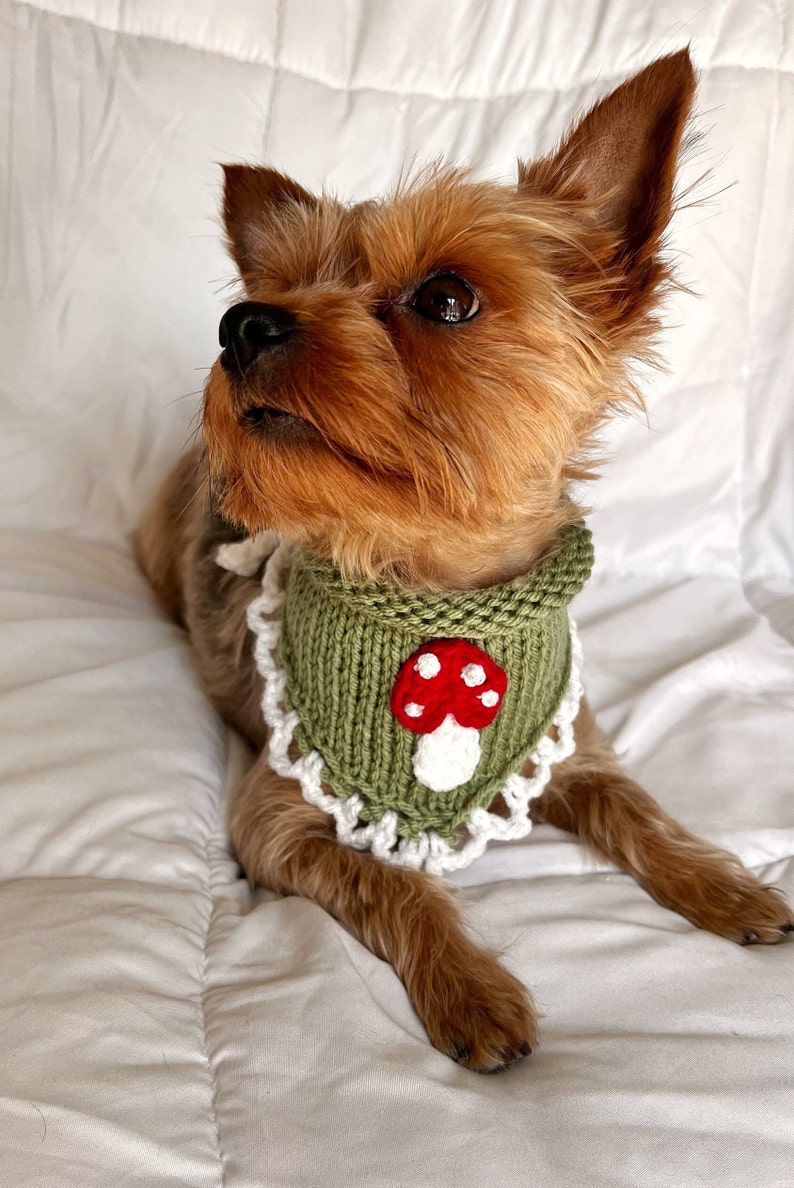 Hand Knitted Mushroom Pet Bandana, Custom Crochet Dog Bandana, Cute Cat Collar, Summer Necklace for Pet, Embroidered Bandana For Small Dog image 3