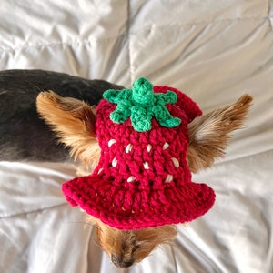 Crochet Strawberry Bucket Pet Hat, Cute Funny Cat Hat, Custom Dog Outfit, Girly Small Dog Costume, Kitten Clothing, Puppy Wear image 7