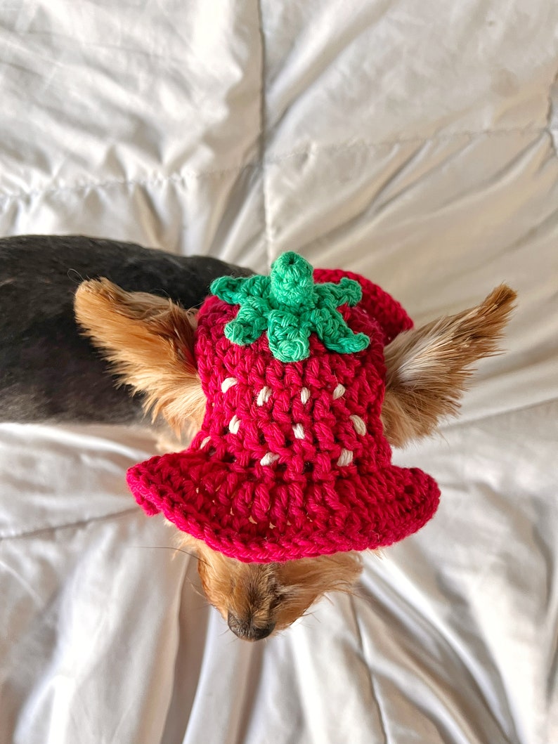 Crochet Strawberry Bucket Pet Hat, Cute Funny Cat Hat, Custom Dog Outfit, Girly Small Dog Costume, Kitten Clothing, Puppy Wear image 7