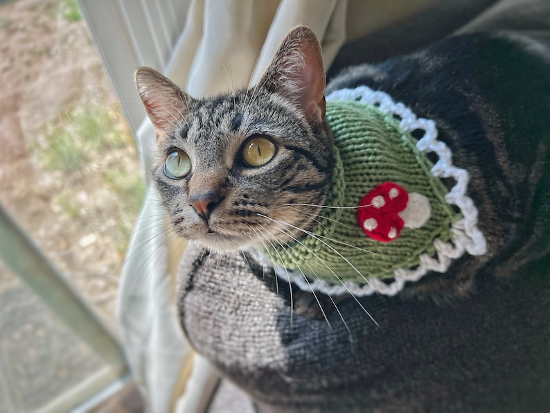 Hand Knitted Mushroom Pet Bandana, Custom Crochet Dog Bandana, Cute Cat Collar, Summer Necklace for Pet, Embroidered Bandana For Small Dog image 2